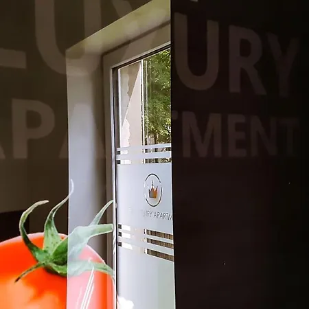 Appartement Wohlfuehl-apartments-luxury-in-leipzig